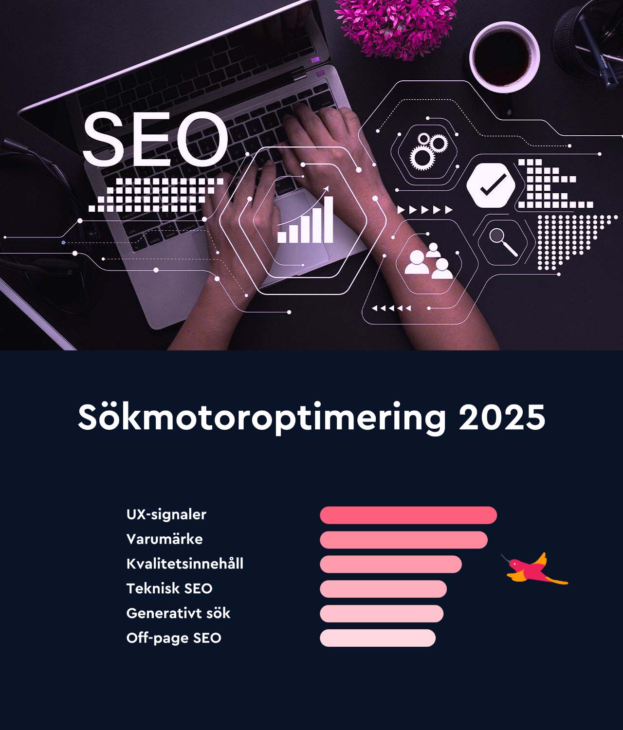 seo-optimering bild på person framför dator som gör seo-optimering